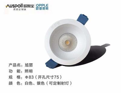 家居照明設計空間